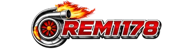 REMI178